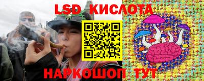 тгк Прокопьевск