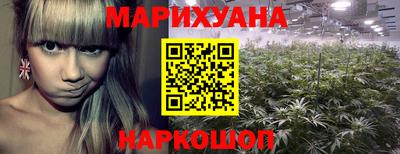 крисы Ростов-на-Дону