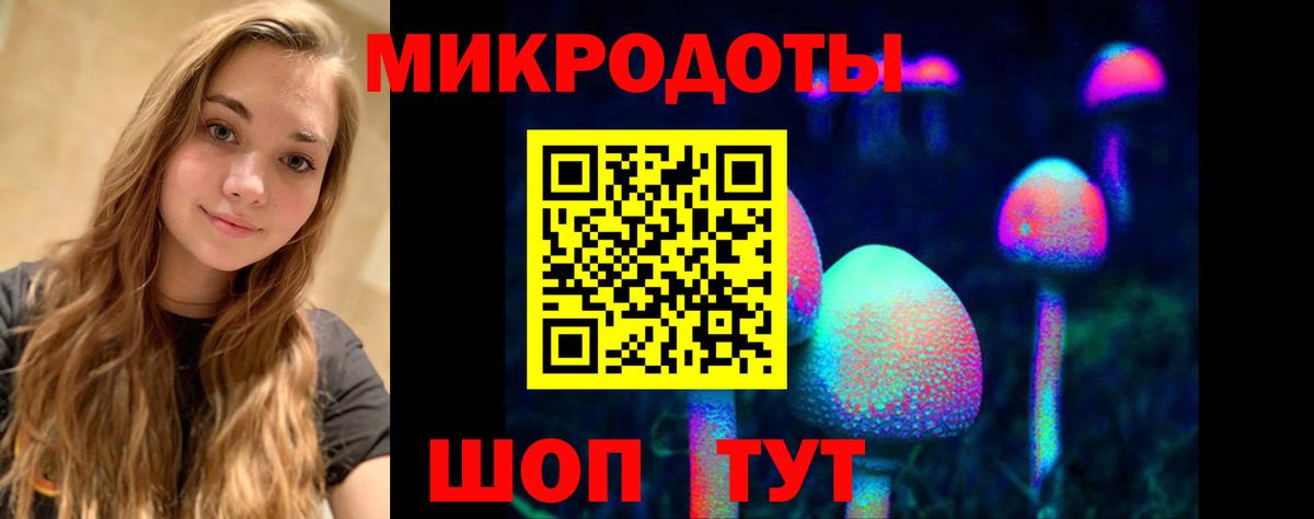 Белгород  Псилоцибиновые грибы Psilocybe  купить наркотики сайты  Вход с VPN 